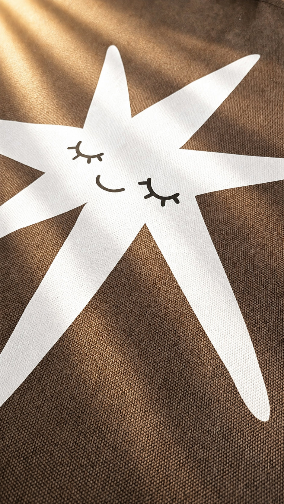 Canvas Banner - Starfall Friend